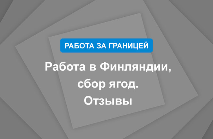 Работа в Финляндии, сбор ягод. Отзывы